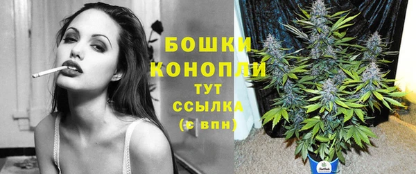 дмт Богданович