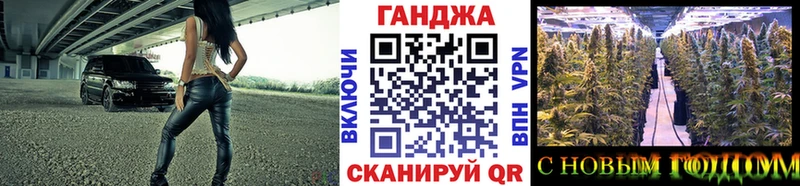 Марихуана план  где продают   Муравленко 